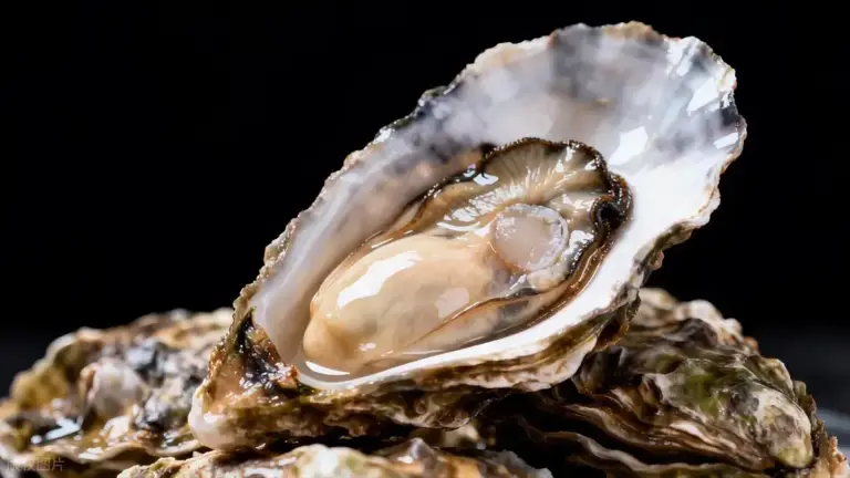 明明长得一模一样，为啥一个叫牡蛎，另一个叫生蚝？