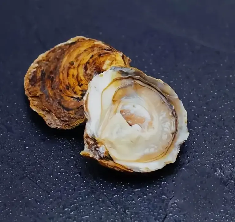 明明长得一模一样，为啥一个叫牡蛎，另一个叫生蚝？