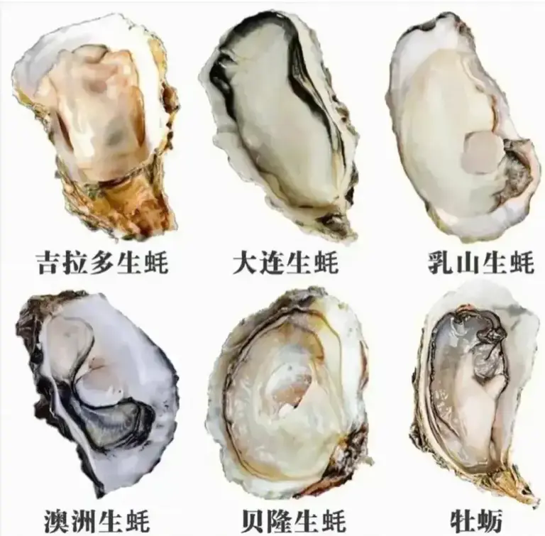 明明长得一模一样，为啥一个叫牡蛎，另一个叫生蚝？
