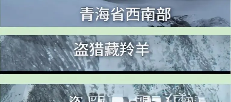 央视《生命树》评价受杨紫影响，网友建议由这8人出演白菊
