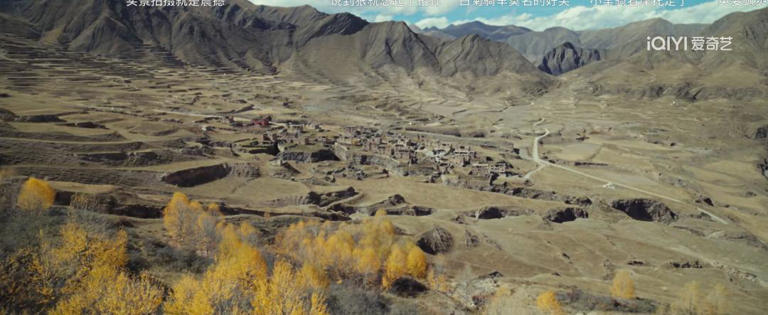 浓妆艳抹别演戏，杨紫《生命树》“高原红”出场淳朴自然