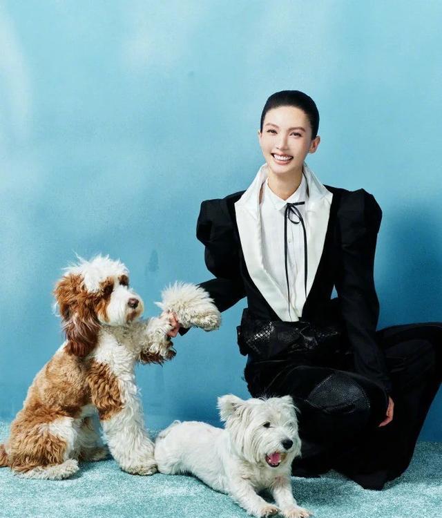 金晨道歉一举三得！晒脸部受伤照有玄机，3大细节对不上惹质疑！