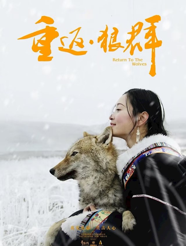 《重返狼群》再度爆火! 作者李微漪 …