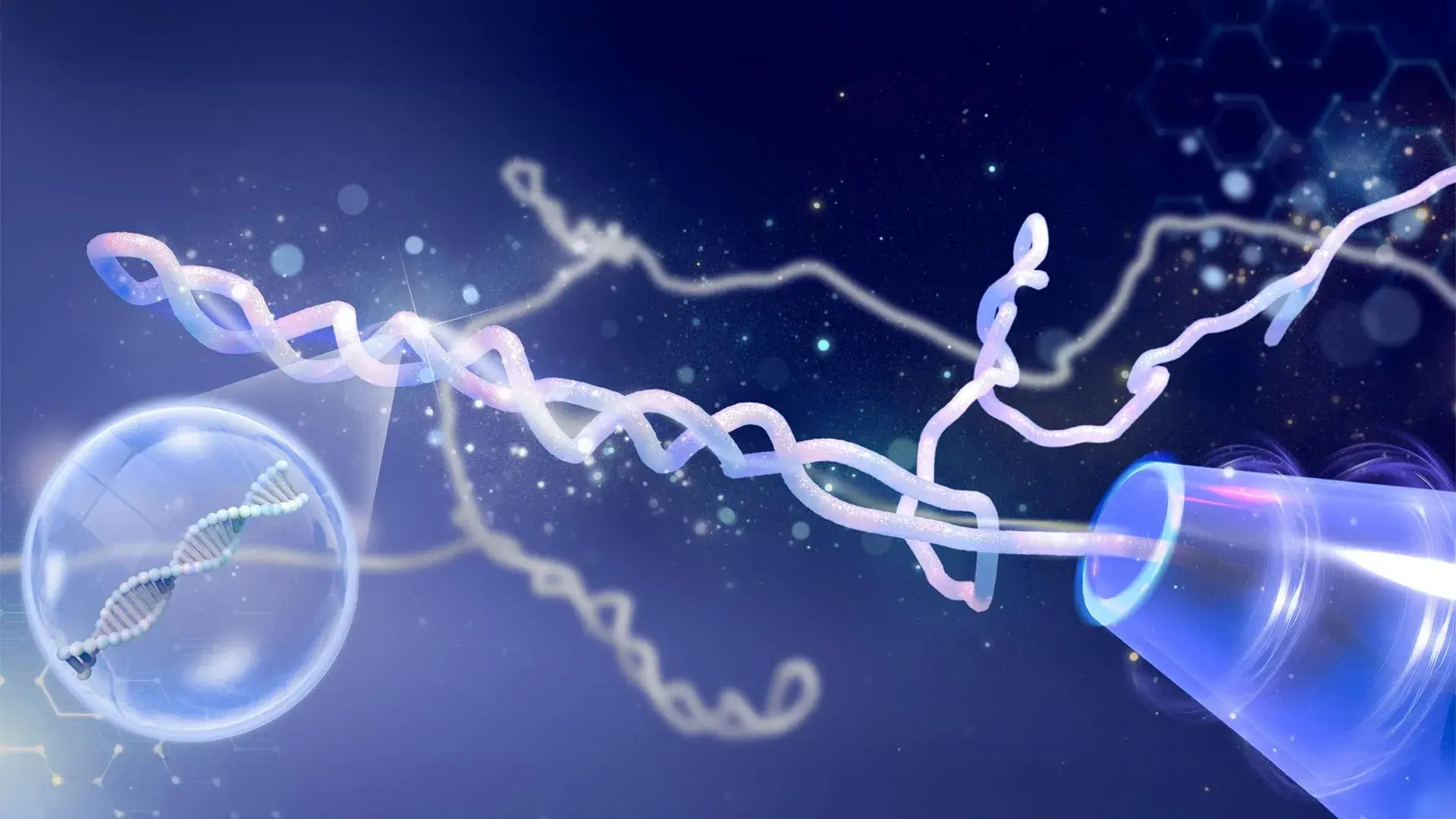 DNA不打结，它只是喜欢扭麻花，科学家们对DNA结的看法都是错误的