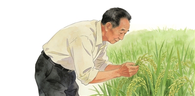 致亲爱的袁隆平爷爷