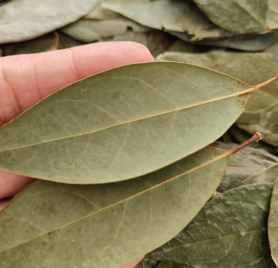 不管卤什么肉，只需记住这4种香料，卤出来的肉既香且入味