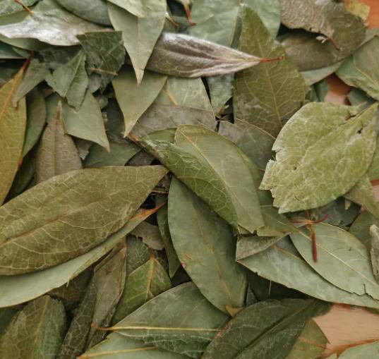 不管卤什么肉，只需记住这4种香料，卤出来的肉既香且入味