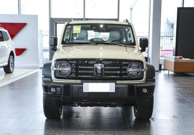 坦克300新能源售价亲民，硬派越野且油耗低，车内配双联液晶大屏