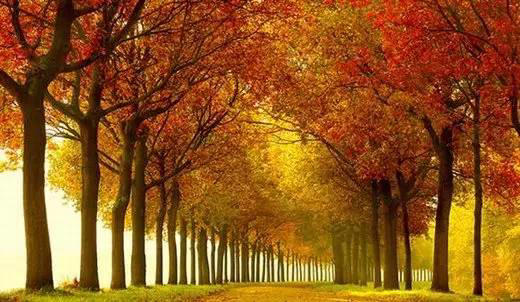 你靠什么在单位立足？此文堪称经典