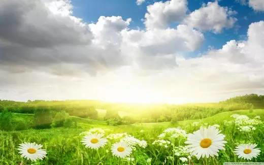 你靠什么在单位立足？此文堪称经典