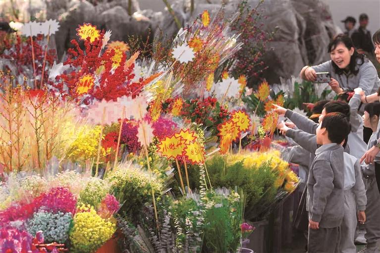香港年宵花市群芳斗艳喜迎新春
