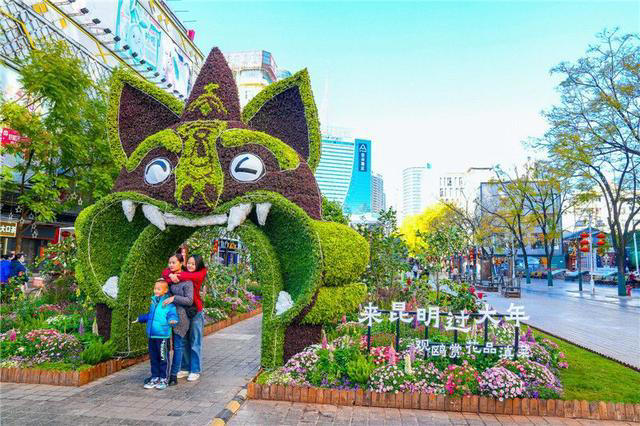 昆明已全面开启“宠客模式”春节来过大年观鸥赏花品滇菜