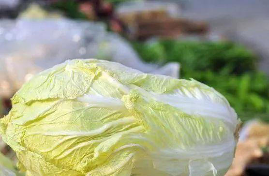 炒大白菜时，先别急着下锅，少了这一步，难怪炒好的白菜不香不脆