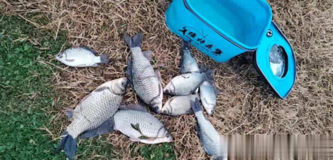 为什么钓鱼人戒不掉钓鱼？不是上瘾，是灵魂在“充电”！