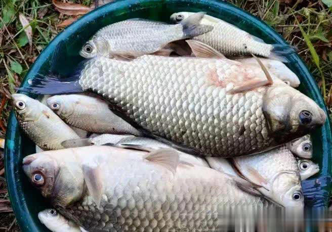 为什么钓鱼人戒不掉钓鱼？不是上瘾，是灵魂在“充电”！