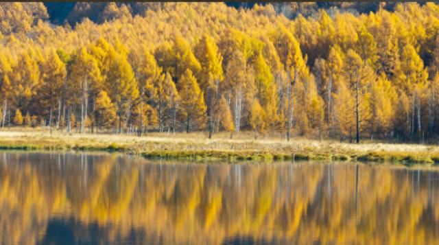 夜读|一个人真正的强大：变得柔软