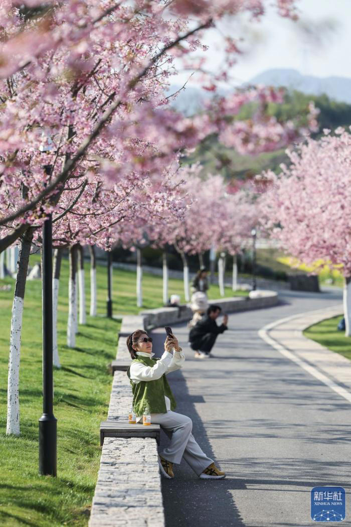 美丽中国｜春日花田百花争艳