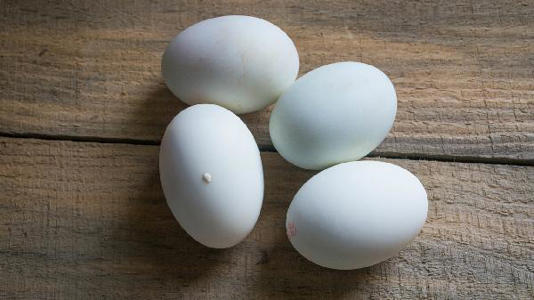 �쵰Ϊɶ�����˳ԣ�Ҳ������������������֪ʶ��