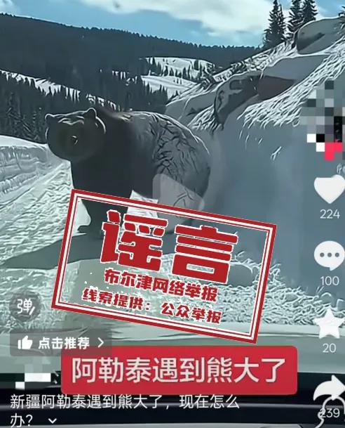 新疆喀纳斯出现棕熊?系AI生成