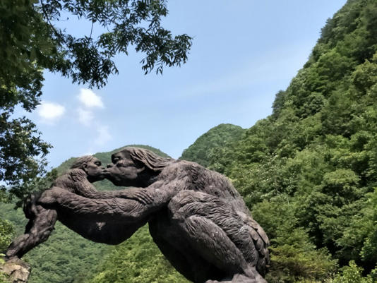 �й���ũ�����Ĳ�������ǰ����ΪʲôҪ�������������