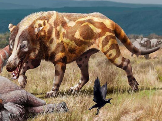 �й���ũ�����Ĳ�������ǰ����ΪʲôҪ�������������