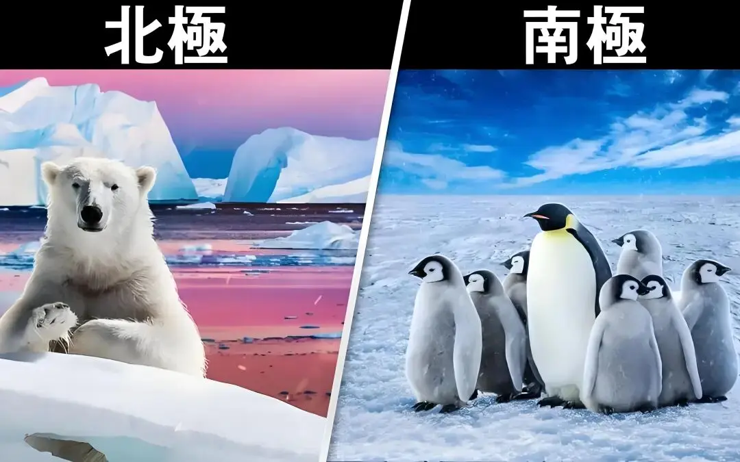 北极冷，还是南极冷?