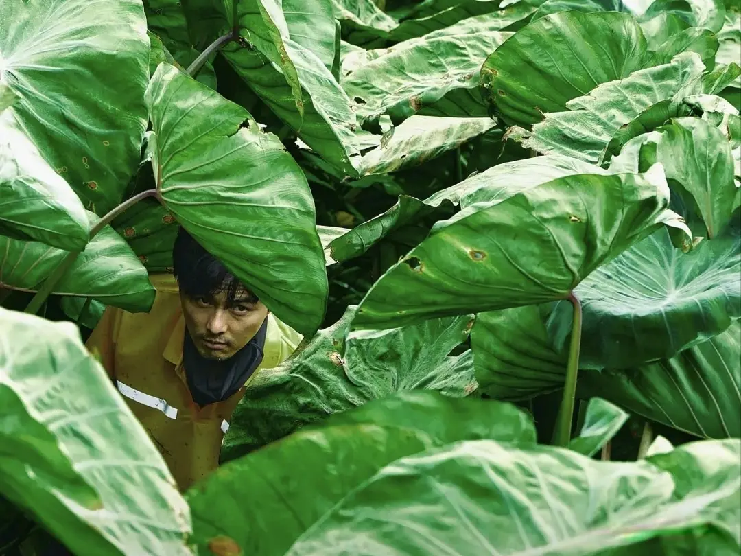 《除恶》：一部没有好人的剧，为何让全网直呼“真实到窒息”？