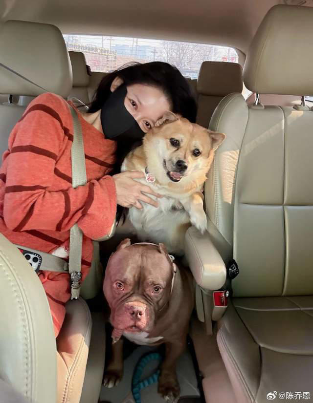 46岁陈乔恩晒照，身材凹凸有致状态满分，自侃体力回到十年前