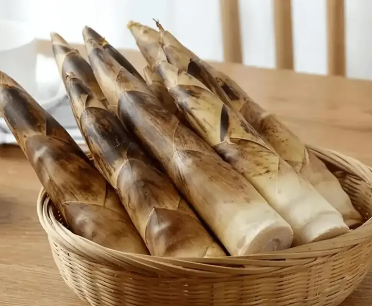 竹笋为什么只属于中国人——一场几千年的驯化史