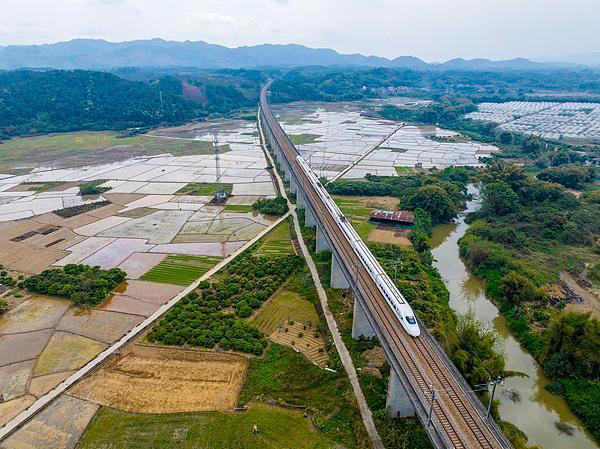 本世纪仅有三次！春分巧遇“龙抬头”，这些事别忘了做