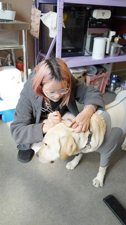 С�������������͡�����԰��