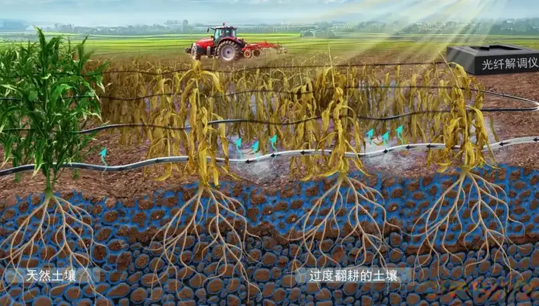 “一炮双响”!中国科大、复旦大学最新成果在顶刊Science发表