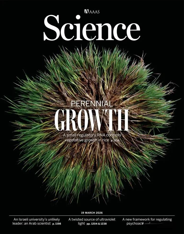 “一炮双响”!中国科大、复旦大学最新成果在顶刊Science发表