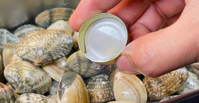 洗花甲时，有人用盐，有人用油！老渔民：都不对，教您最正确做法