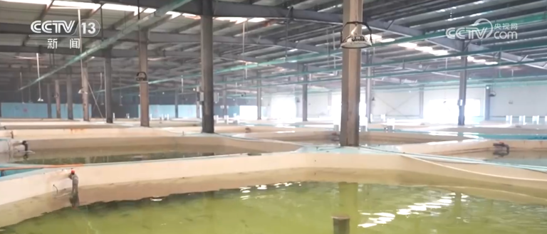 硬核技术锻造“高精尖”产品 传统产业加速向“智”向“绿”玩出新组合