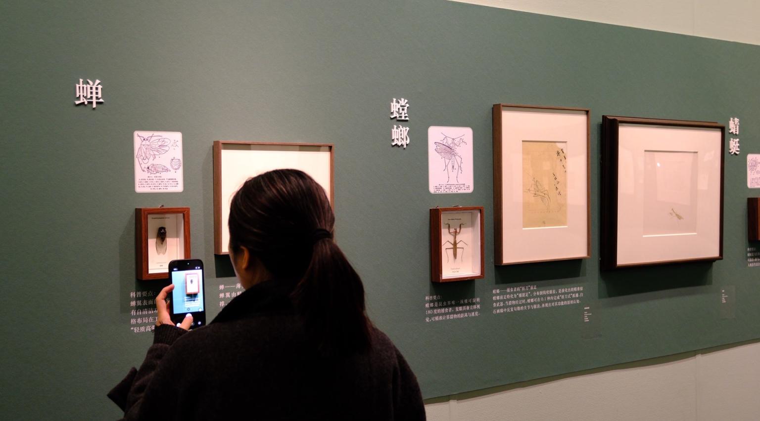 春分时节来北京画院美术馆，和齐白石一起化身“田野考察家”