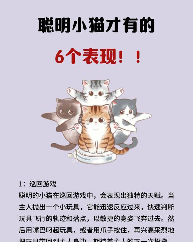 一只猫有这6个表现，说明它智商很高!