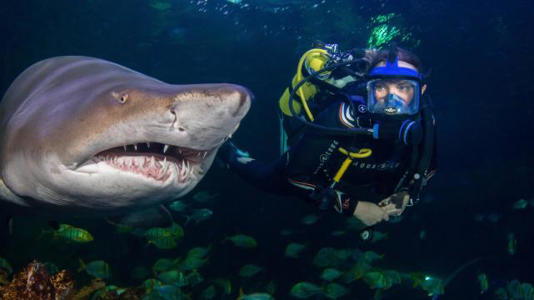 ΪʲôǱˮԱ���Ժ�����Ӵ��������㲻�����ǣ����㣺�㶺������