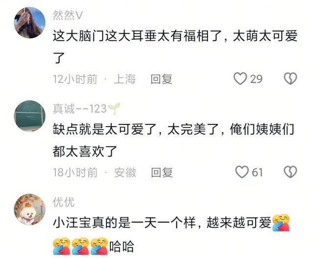 马筱梅仅用一招挽回形象，深夜晒娃，萌翻众人，好评高达4000条