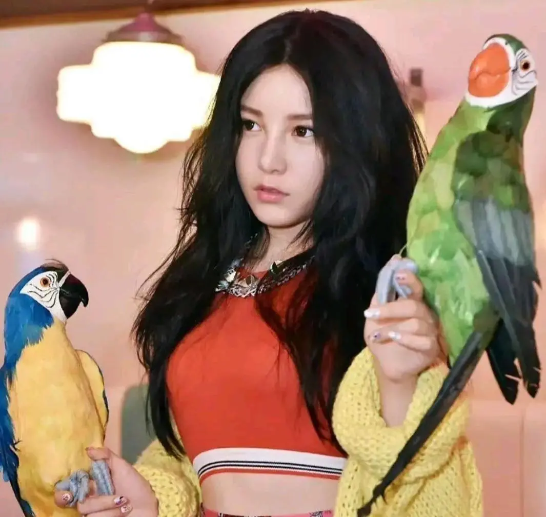 ԭ��������ȥ����14��д��18������ϣ�22��������������δ��