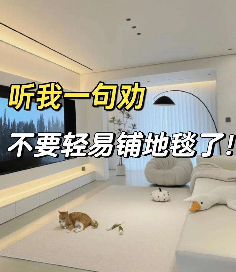 过来人建议：客厅尽量别放这4样! 并非误导，而是有所依据