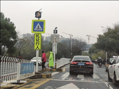 23个路口上新礼让牌 司机行人纷纷点赞