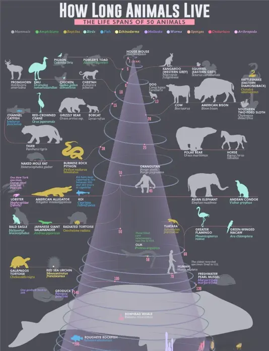 ɽ��Ϊʲô�����ܼ����������ߣ����Ƕ�ȥ�����