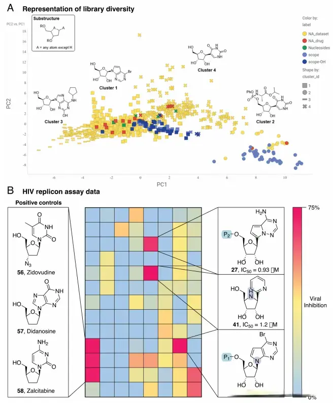 Science：核苷类似物，也能高通量合成