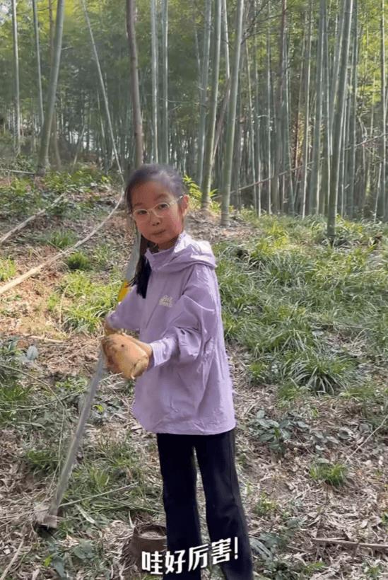 朱丹和老公带孩子上山挖笋!