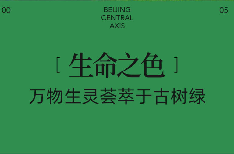 花700多年画出一条线，用中式色彩惊艳世界
