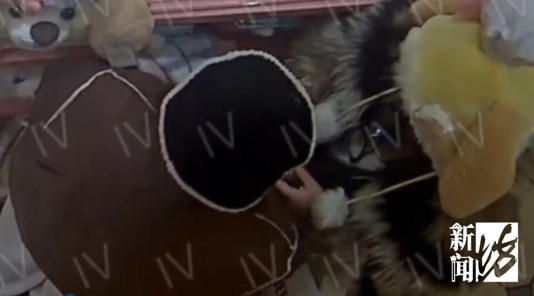 ̫�����·��Ϻ���ʿ�ᣬ28��ȫ����ץ��