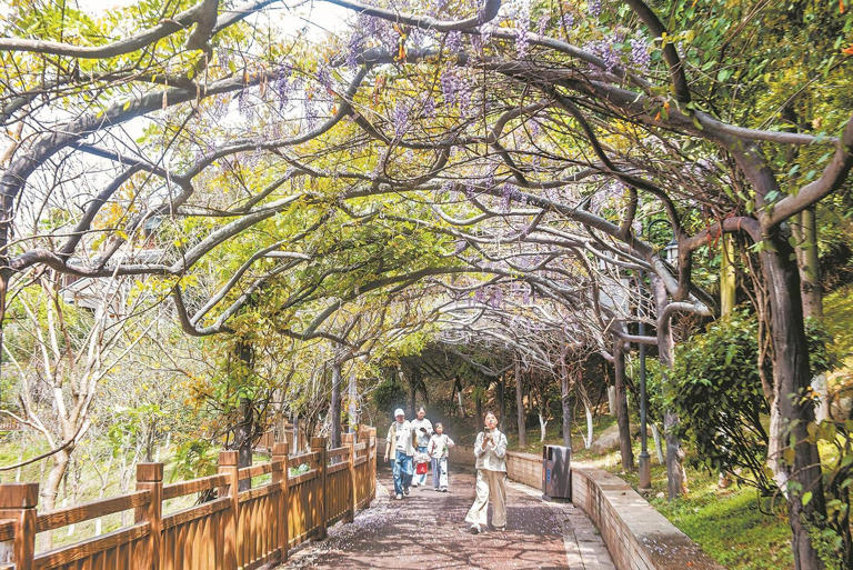 春日经济升温 赏花游受青睐