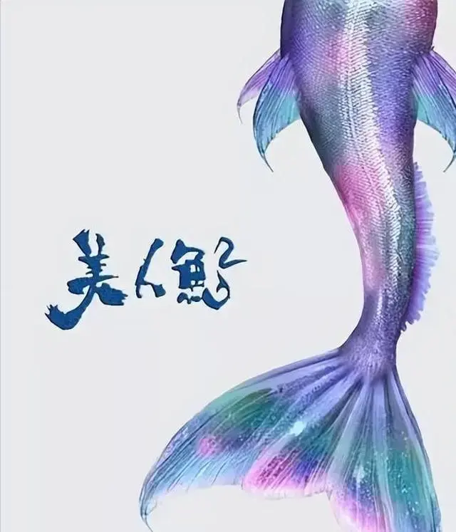 6亿打水漂？投资人揭《美人鱼2》不上映原因，劣迹艺人害惨周星驰