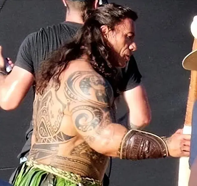 ��ʯǿɭ�����弡�������������Ե�����˰��붯���溣�����ͶԱ�